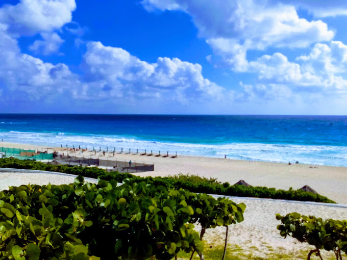 Ocean View Cancun Arenas